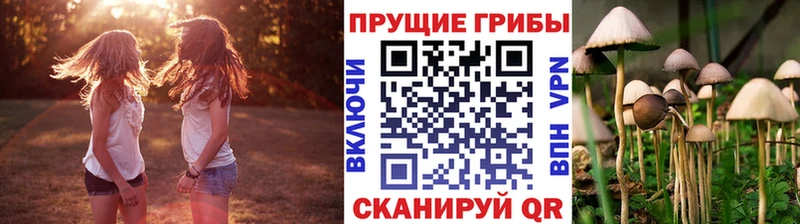 Псилоцибиновые грибы мухоморы MEGA зеркало Жирновск